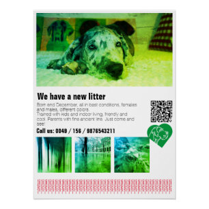 Designer Dogge Poster für Great Dane Welpen