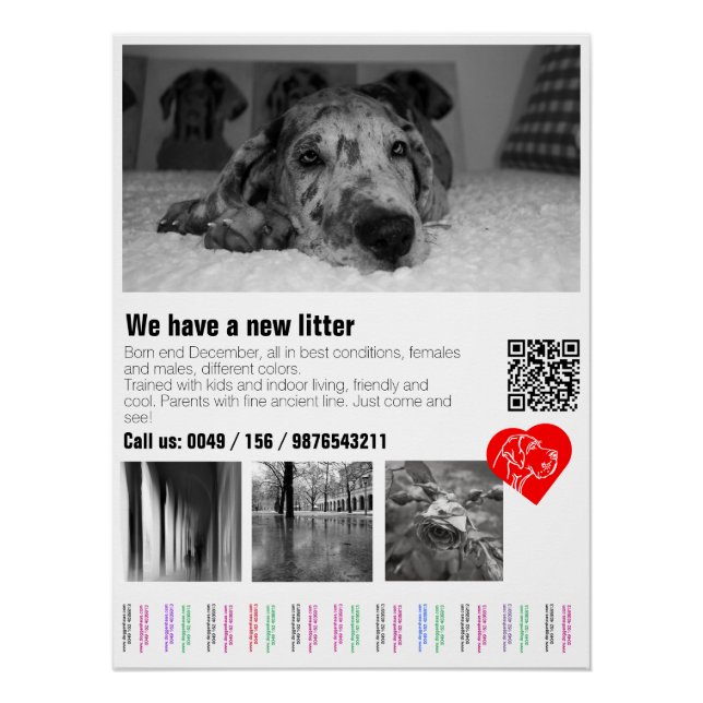 Designer Great Dane Puppy Poster (Vorderseite)