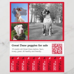 Designer Tee off Great Dane Flyer