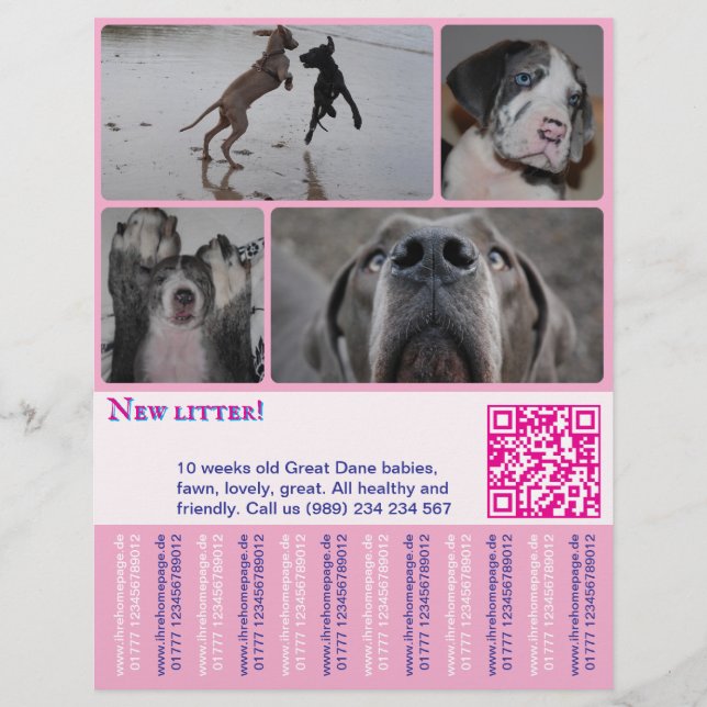 Designer Welppy Selling Flyer 4 Bilder (Vorne)