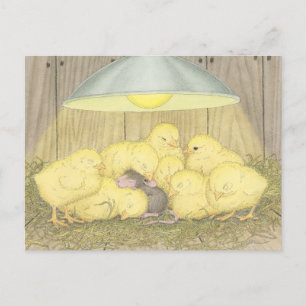 Designs für Hausmäuse® - Postkarten