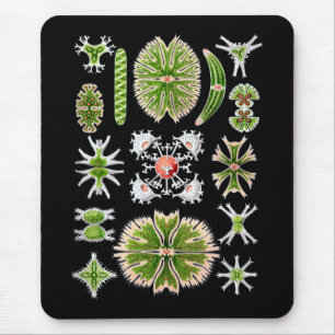 Desmids Mousepad