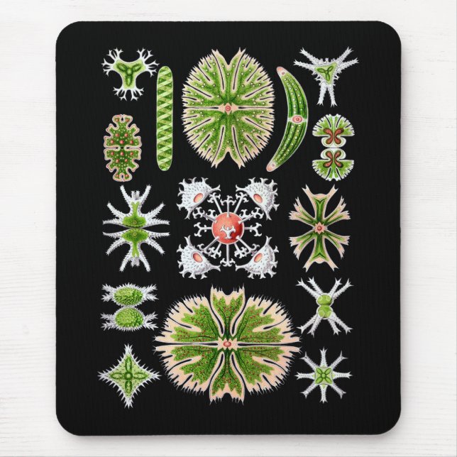 Desmids Mousepad (Vorne)