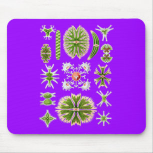 Desmids Mousepad