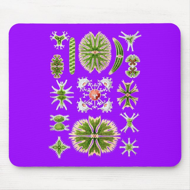 Desmids Mousepad (Vorne)