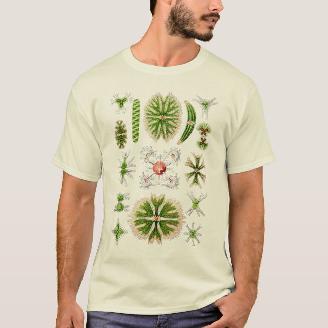 Desmids T-Shirt (Vorderseite)