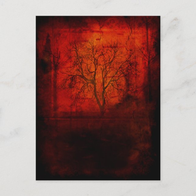 Desolat Postkarte (Vorderseite)