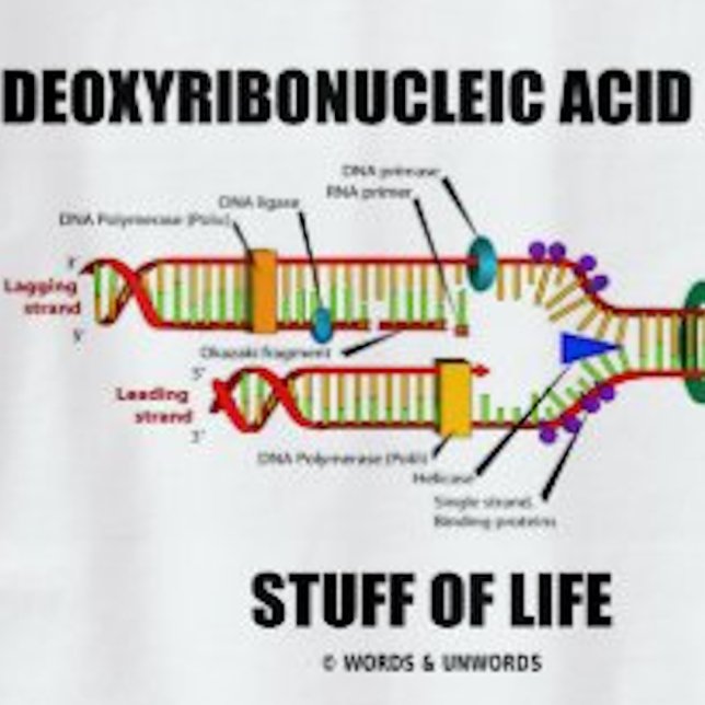 Desoxyribonukleinsäure (DNA) T-Shirt (Molecular biology humor tee featuring DNA replication along with caption "Stuff Of Life")
