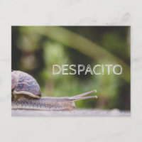 Despacito