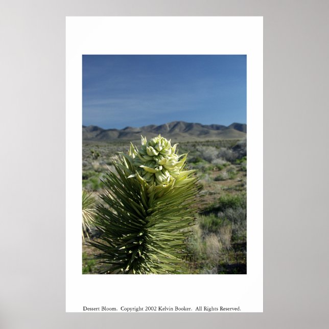 Dessert Bloom Poster (Vorne)