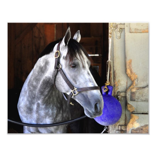 Destin Fotodruck (Vorne)