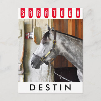 Destin - Horse Haven Postkarte