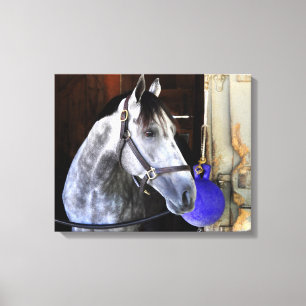 Destin Leinwanddruck