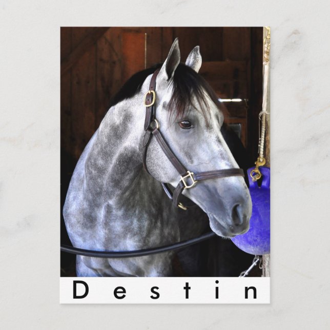 Destin Postkarte (Vorderseite)