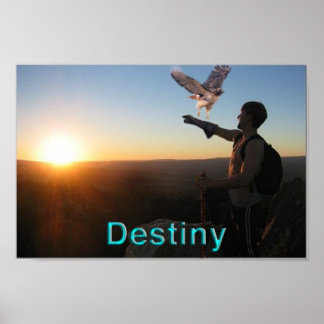 Destiny Poster