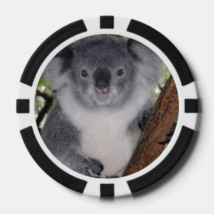 Destiny Zazzle Niedlich Koala Aussi Outback Pokerchips