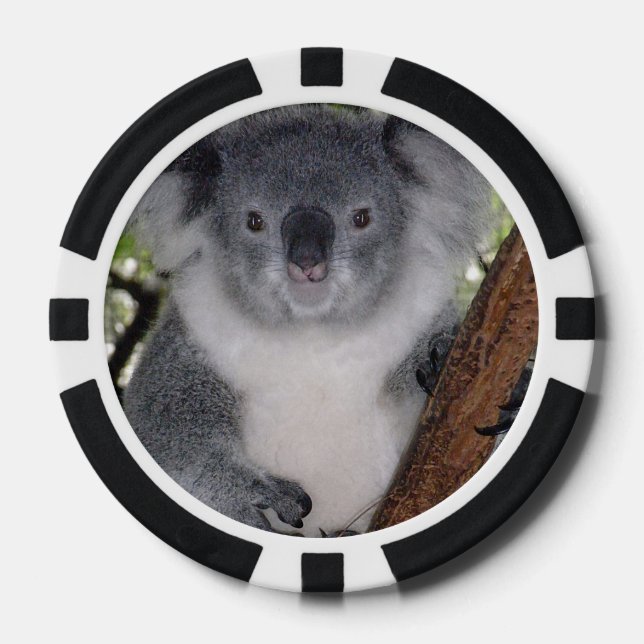 Destiny Zazzle Niedlich Koala Aussi Outback Pokerchips (Vorderseite)