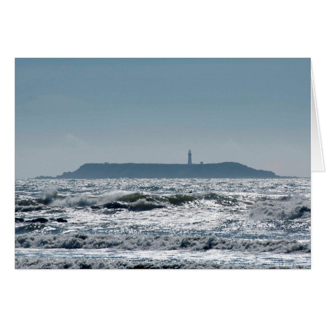 Destruction Island Lighthouse von Ruby Beach (Vorderseite (Horizontal))
