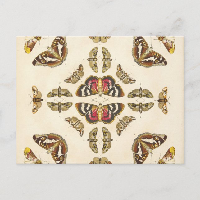 Detail aus Platte VI Postkarte (Vorderseite)