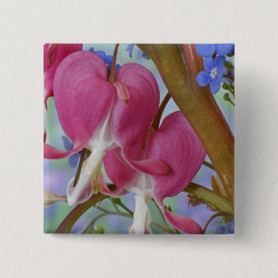 Detail der Blutungsherzen und Brunnera-Jack Button