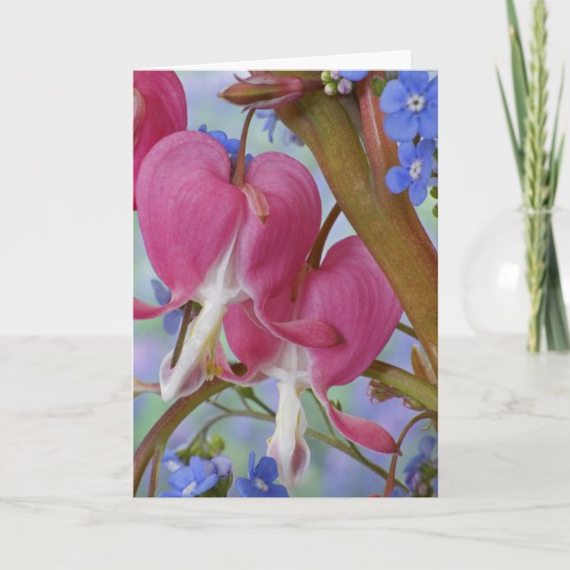 Detail der Blutungsherzen und Brunnera-Jack Karte (Vorderseite)