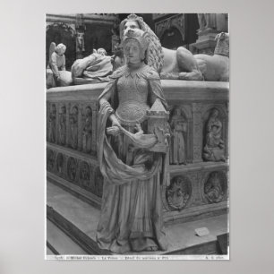 Detail der Höhe Poster