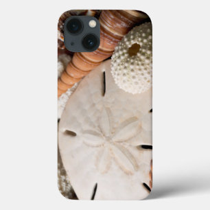 Detail der Muscheln aus aller Welt Case-Mate iPhone Hülle