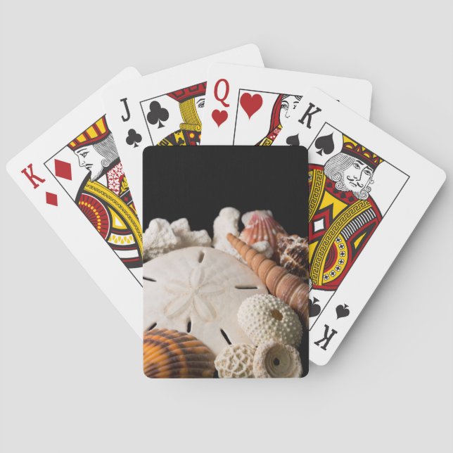 Detail der Muscheln aus aller Welt Spielkarten (Rückseite)