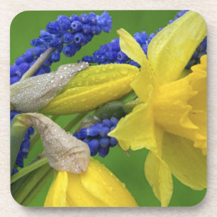 Detail der Narzissen- und Hyazinthenblüten. Credit Getränkeuntersetzer