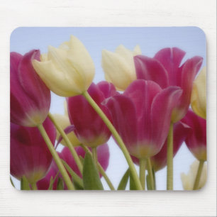 Detail der Tulpen. Kredit als: Don Paulson / Mousepad
