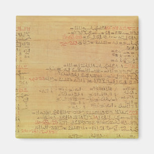Detail des Rhind mathematischen Papyrusses Magnet