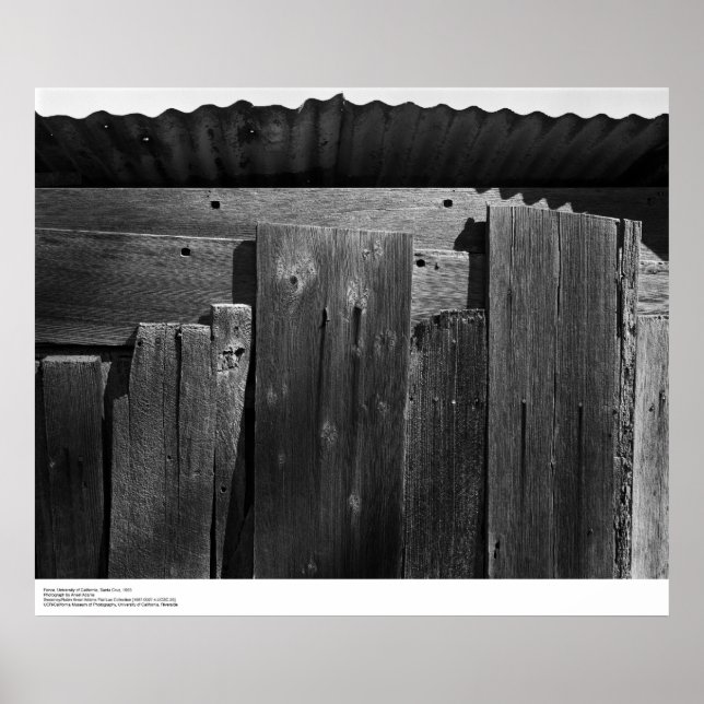 Detail des Zauns, UC Santa Cruz, 1963 Poster (Vorne)