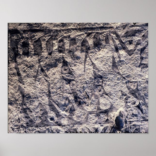 Detail einer rituellen Prozession Poster (Vorne)