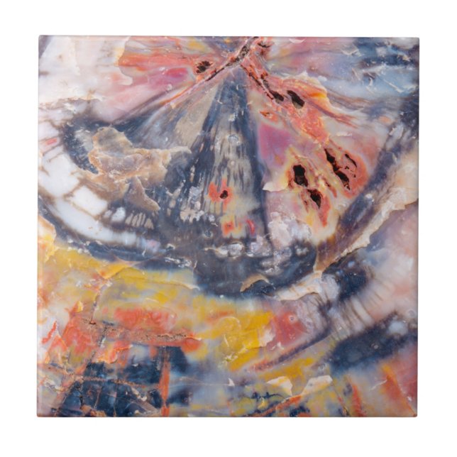 Detail versteinertes Holz, Arizona Fliese (Vorderseite)