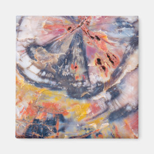 Detail versteinertes Holz, Arizona Magnet