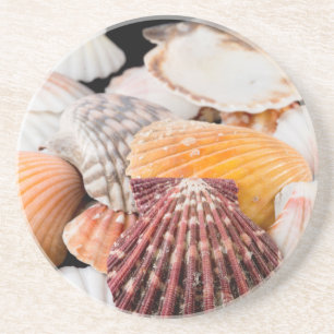 Detail von Muscheln aus aller Welt 2 Untersetzer