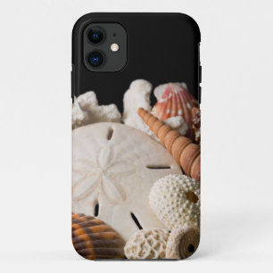 Detail von Muscheln aus aller Welt Case-Mate iPhone Hülle