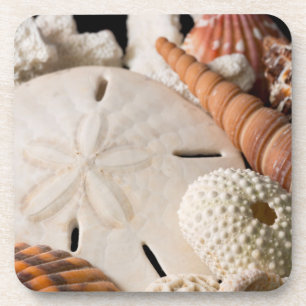 Detail von Muscheln aus aller Welt Getränkeuntersetzer