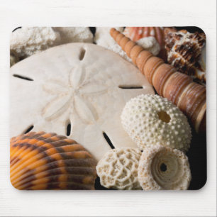 Detail von Muscheln aus aller Welt Mousepad