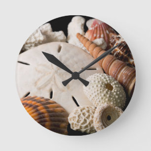 Detail von Muscheln aus aller Welt Runde Wanduhr