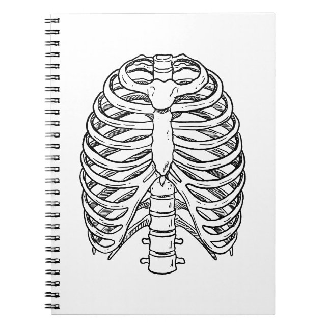 Detailed Rib Cage Anatomy Line Art Notizblock (Vorderseite)