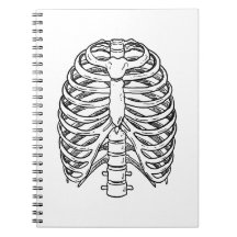 Detaillierte Anatomie des Brustkorbs, Linienkunst