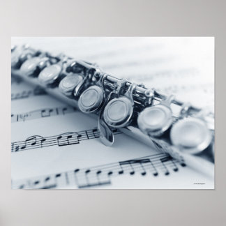 Detaillierte Flute Poster