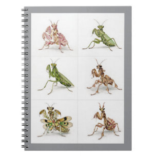 Detaillierte Gottesanbeterin-Art-Kunst für Insekte Notizblock