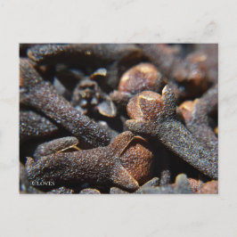 Detaillierte Makroansicht der Kräuterhalle Postkarte