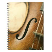 Detaillierte Violine