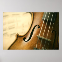 Detaillierte Violine