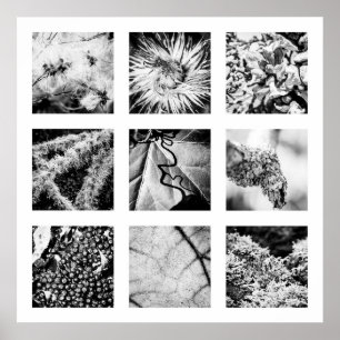 Details der Reihe Natur - Details Plakat