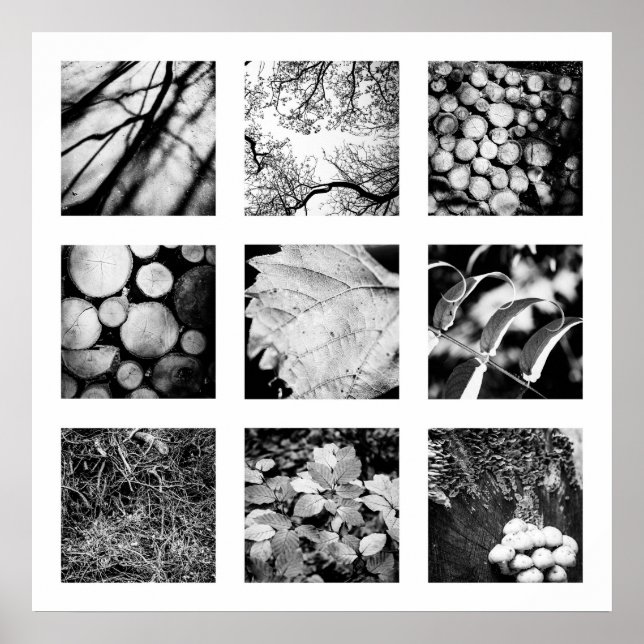 Details der Reihe Natur - Waldplakat Poster (Vorne)