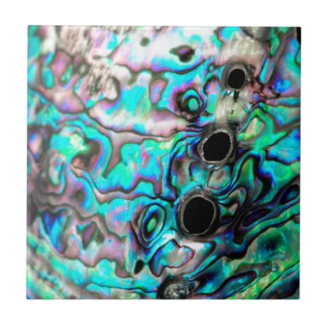 Details zur Abalone-Muschel Fliese (Vorderseite)